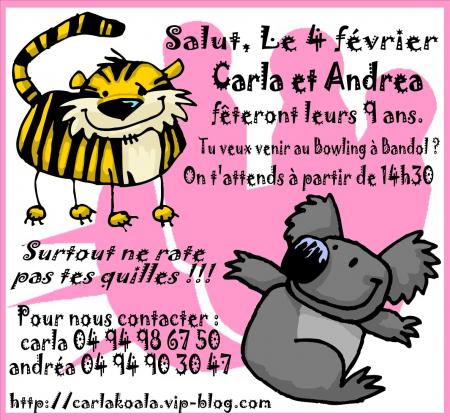 invitation a mon anniversaire